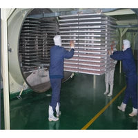 Continuous vacuum belt drying machine over food freeze dryers sale - Drying Machine