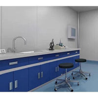 Customized Hospital Medical Air Purification Clean Room Project 
