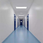 Electronics industry customized  clean room air shower, electronics factory clean room design 