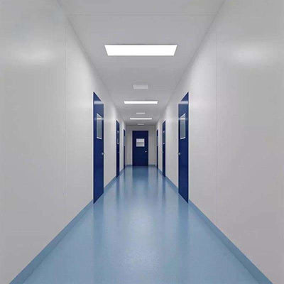 Electronics industry customized  clean room air shower, electronics factory clean room design 