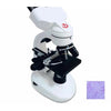 Glass slides optical video lcd digital stereo binocular microscope with ce certificate - Other Products