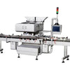 New design plastic bottle toothpick packaging machine - Counting Machine