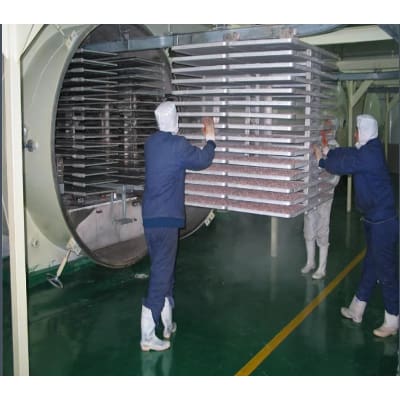 Professional food processing industrial vacuum freeze dryer - Drying Machine